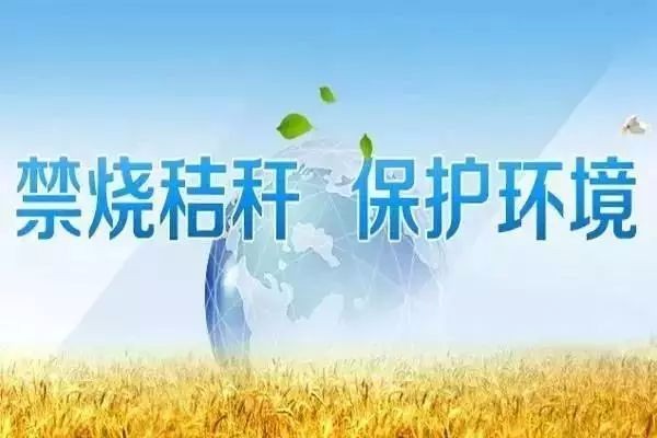 四间房镇秸秆禁烧志愿服务活动