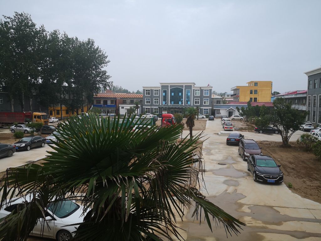 焦虎镇“我为群众办实事”志愿服务活动