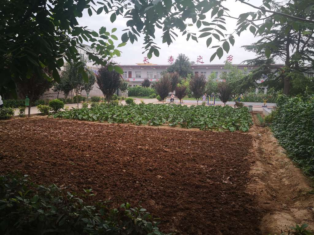 焦虎镇尊老敬老志愿服务活动