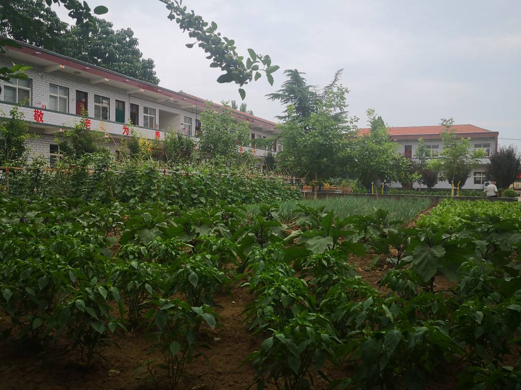 焦虎镇尊老敬老服务月活动