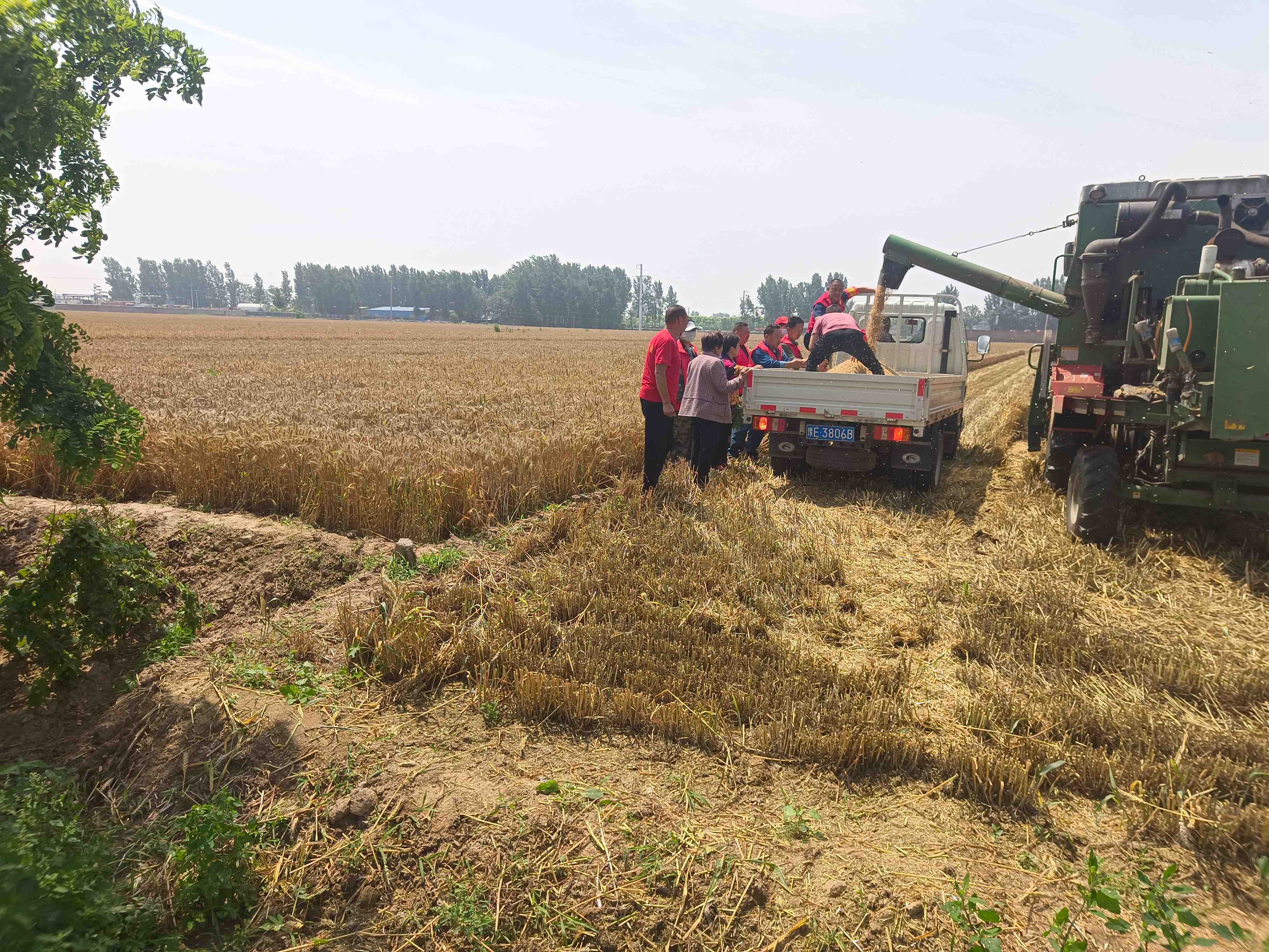 奋战“三夏”抢收忙 帮扶暖人心