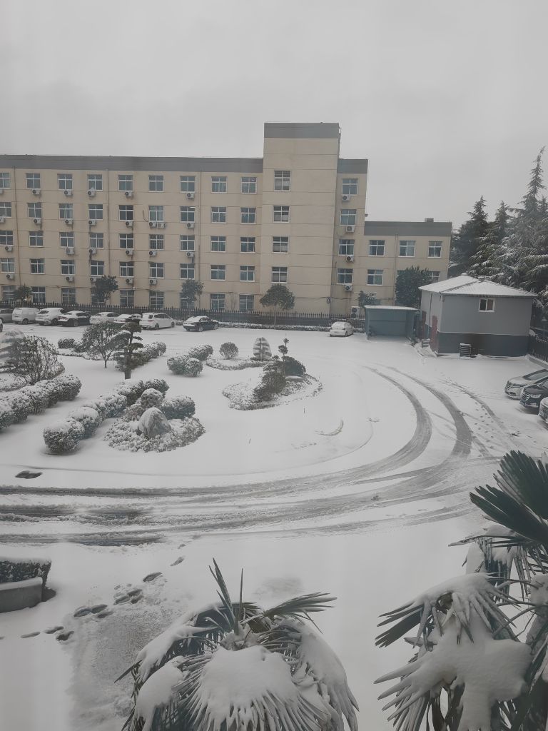 滑县财政局扫雪志愿服务活动